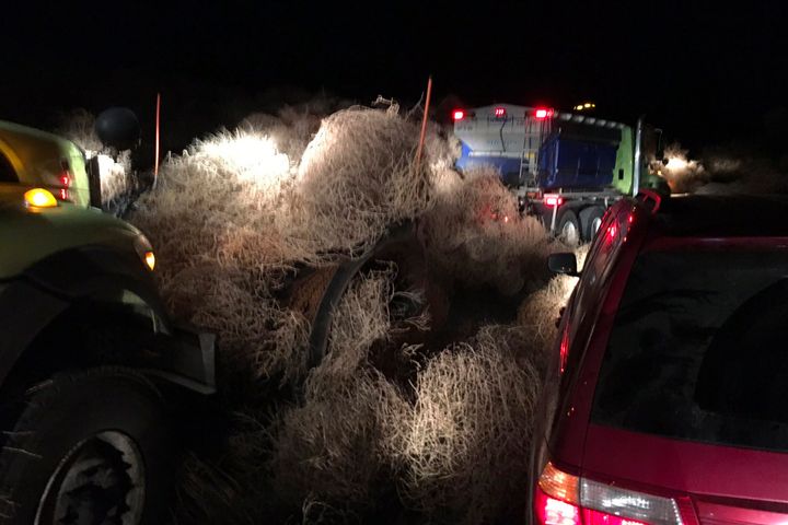 In this image taken Tuesday evening, Dec. 31, 2019, and provided by the Washington State Patrol, Washington State Department of Transportation using snow plows to remove a pile of tumbleweeds along State Route 240 near Richland, Wash. (Trooper Chris Thorson/Washington State Patrol viaAP)