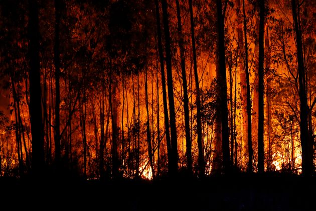 Resultado de imagem para fotos do incendio n australia atualizadas