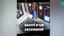 Ce médecin a sauvé ce chien d’un accident d’ascenseur