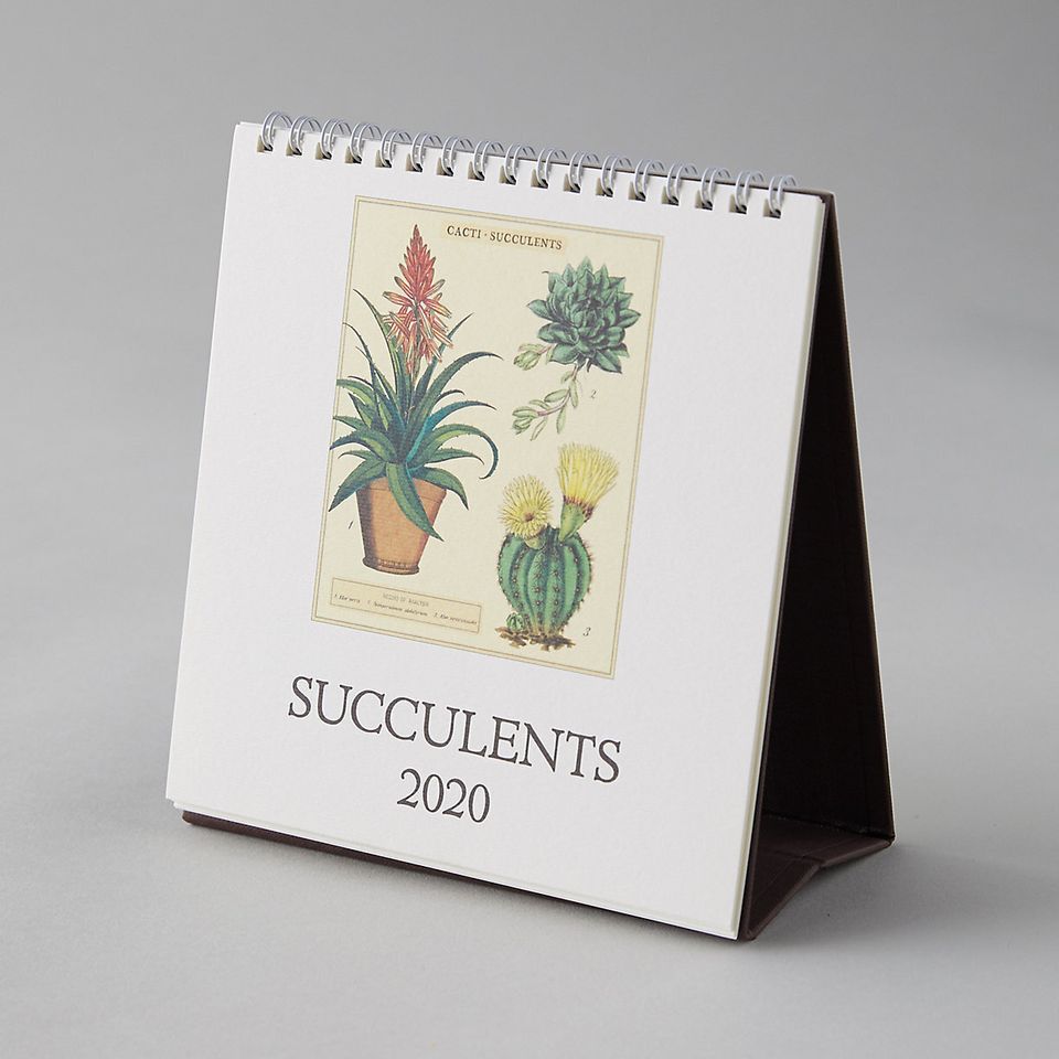 2020 Desk Calendar, Succulents