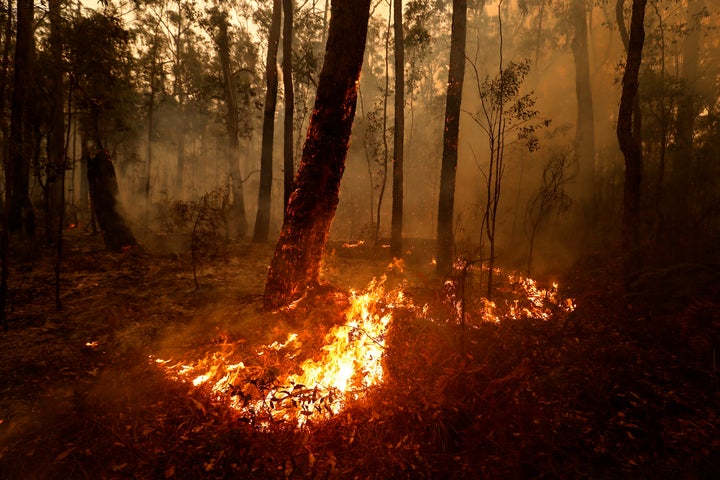 Fires still burn on January 05, 2020 between Orbost and Cann River along the Princes Highway, Australia. 