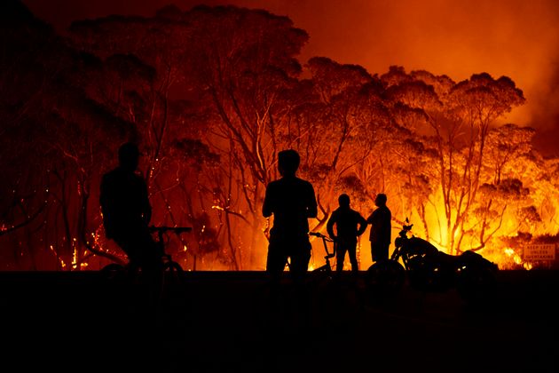 オーストラリアの森林火災の悲惨さ 最大8000頭のコアラが犠牲に 画像集 ハフポスト