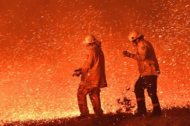 オーストラリアの森林火災の悲惨さ。最大8000頭のコアラが犠牲に（画像集）