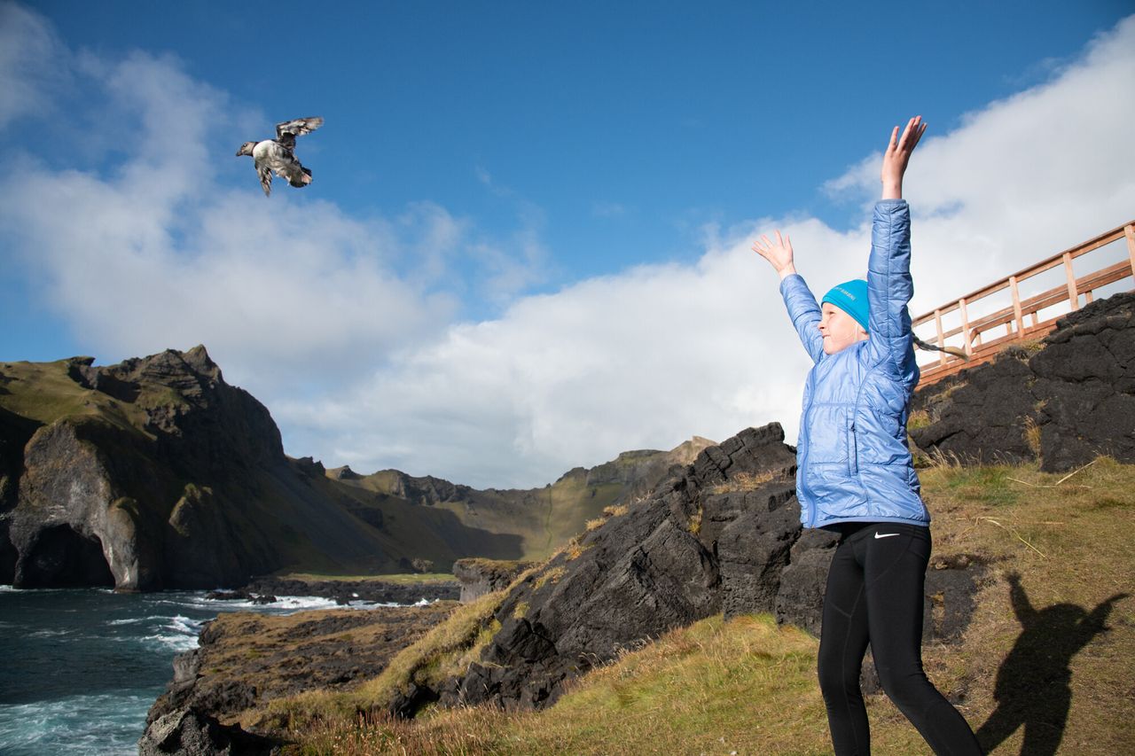Sóldis Sif releases a puffling at the cliffs. Their wings are small meaning they must be launched into the air to get enough lift for takeoff.