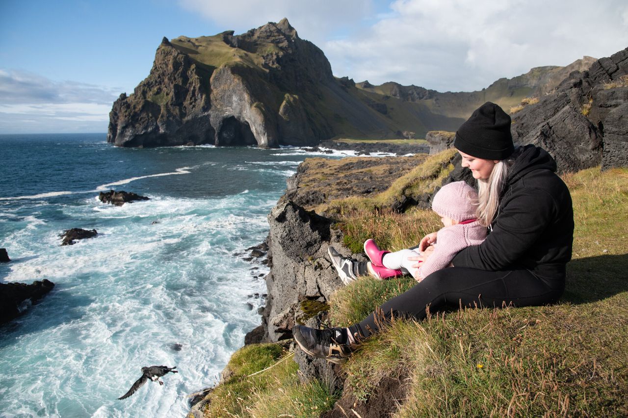 Sandra Sif Sigvardsdóttir releases a puffling from the cliffs with her 2-year-old daughter Eva Berglind.