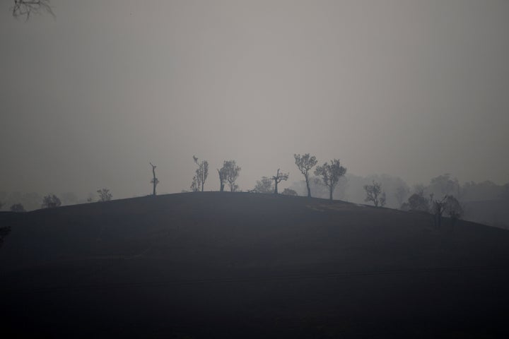 Bushfire smoke has reached South America. 