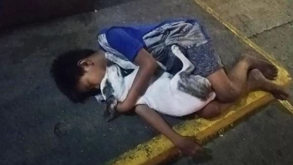 La Storia Della Foto Del Bimbo Senzatetto Che Dorme Per Strada Abbracciato Al Suo Cane L Huffpost