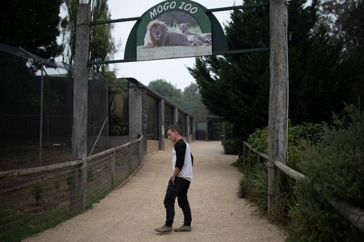 Director of Mogo Zoo Chad Staples makes his way at the zoo in Australia