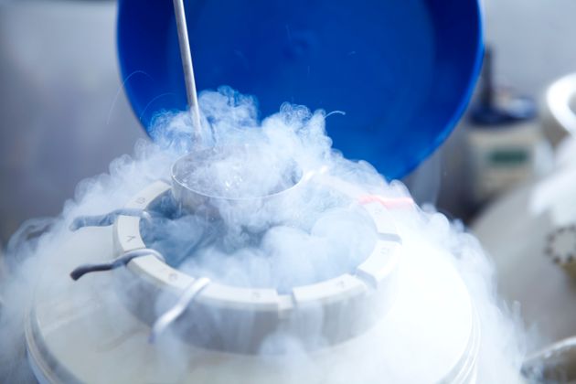 Egg Freezing Is No Guarantee Of A Baby, Women Are Warned