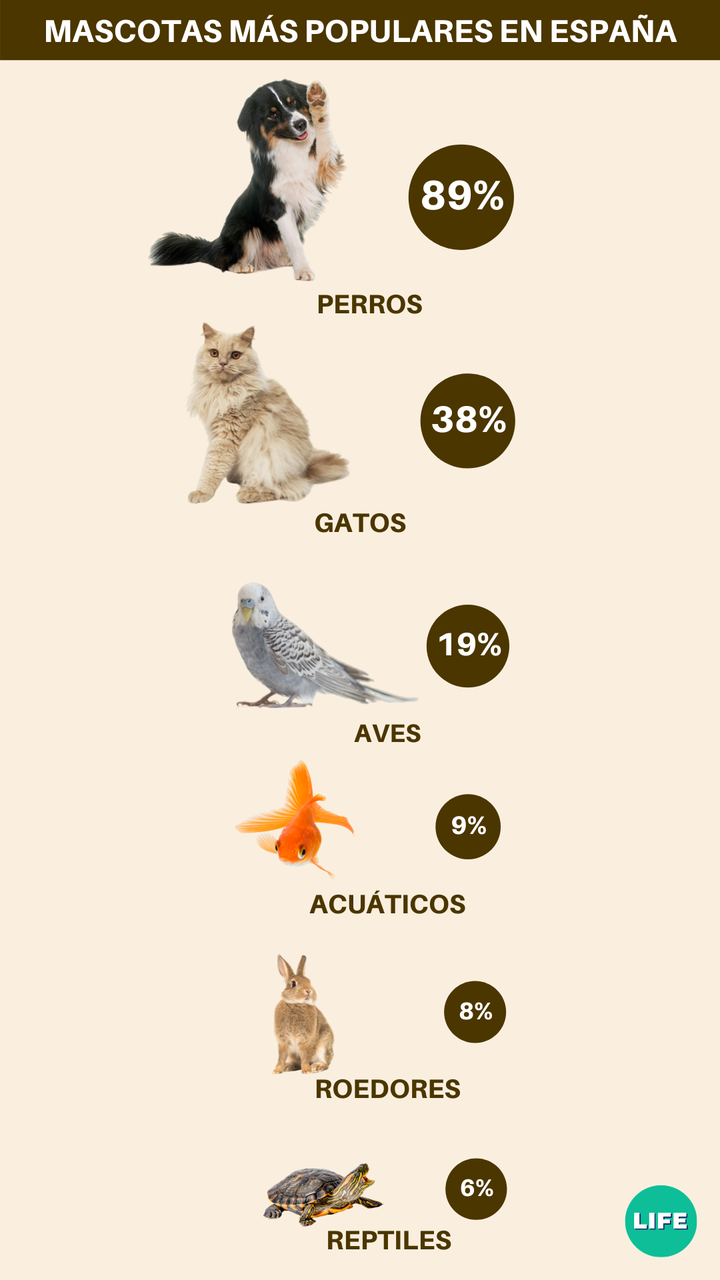 Porcentaje de mascotas en España, por tipo de animal. <br />Fuente: Tiendanimal.es