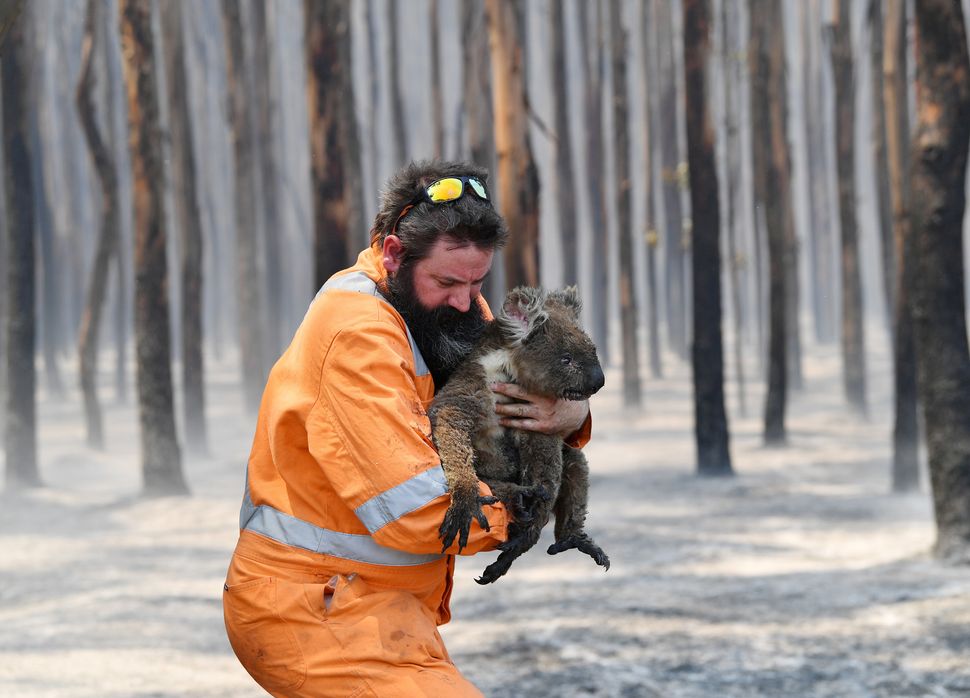Dramatic Images From Australia's Fires Show The Country's Incredible
