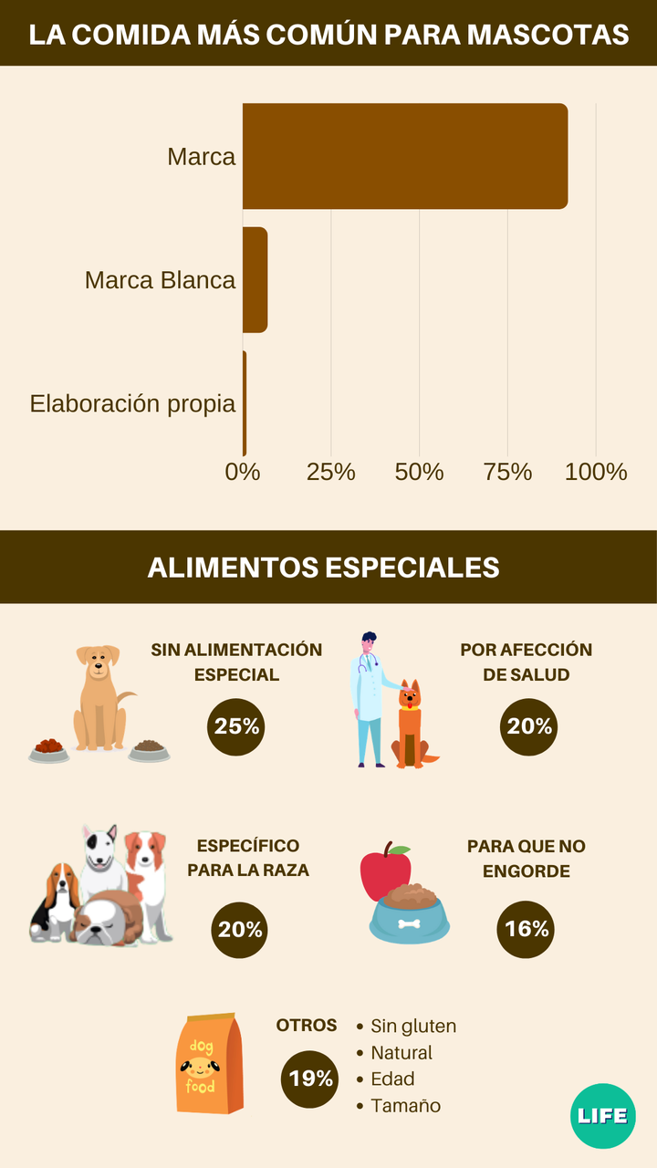 Gasto en comidas de animales y elección de los alimentos. Fuente: tiendanimal.es