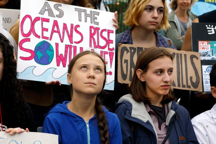 Activists, such as Swedish teenager Greta Thunberg, have called for dramatic action to scale back carbon emissions.