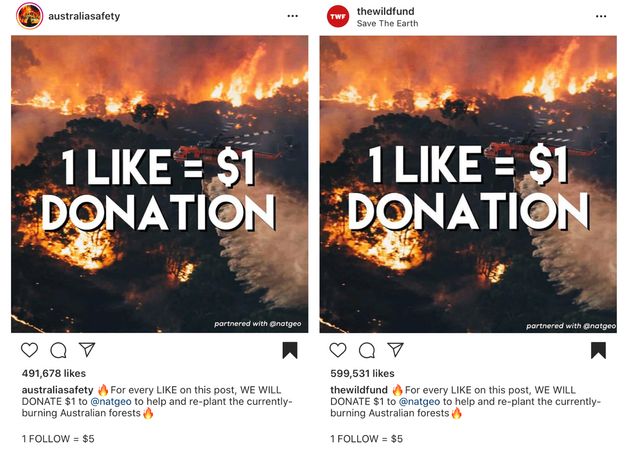 Instagram Scammers Are Exploiting The Australia Fires For Cash And Clout