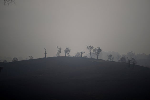 Bushfire smoke has reached South America.