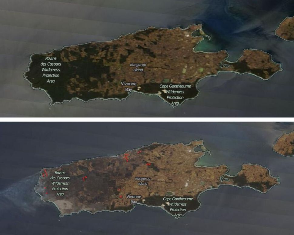 Top image shows Kangaroo Island on January 3, bottom picture shows extent of damage on January 8. 