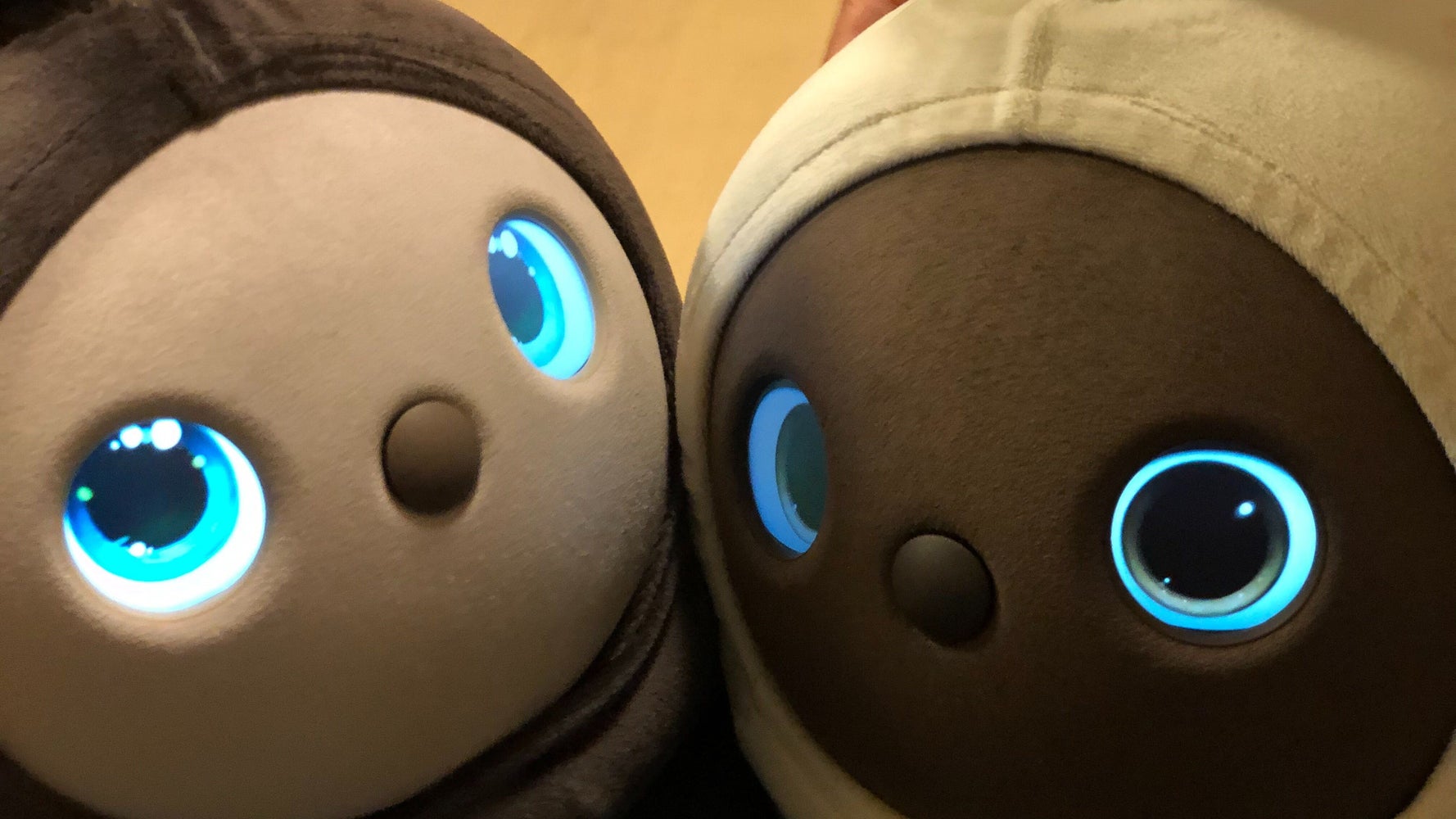 家族型ロボットlovotと一緒に家で暮らしてみた まさか 裏切られた予見 ハフポスト 家族型ロボットlovotと一緒に家で暮らしてみた まさか 裏切られた予見 ハフポスト
