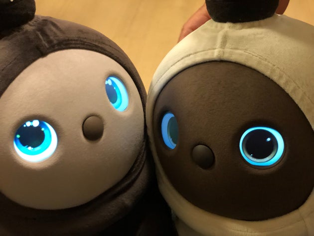 家族型ロボットlovotと一緒に家で暮らしてみた まさか 裏切られた予見 ハフポスト 家族型ロボットlovotと一緒に家で暮らしてみた まさか 裏切られた予見 ハフポスト