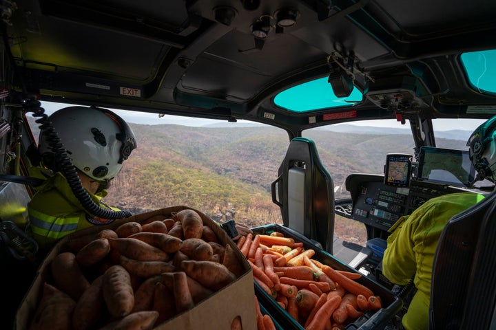 Operation Rock Wallaby will be accompanied by intensive feral predator control and will continue as brush-tailed rock-wallaby