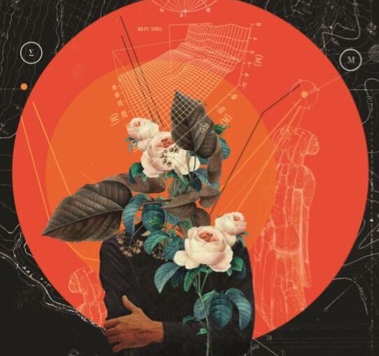 «Εξημέρωση»