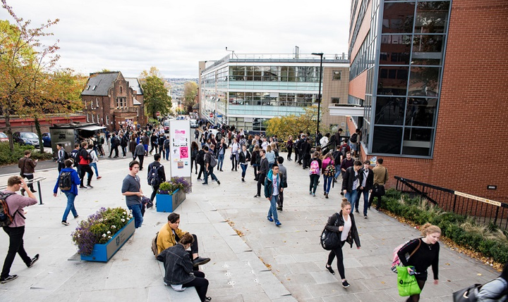 University of Sheffield 