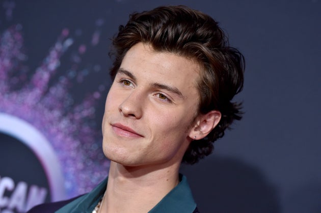 Singer Shawn Mendes donated to the Red Cross and local fire services.