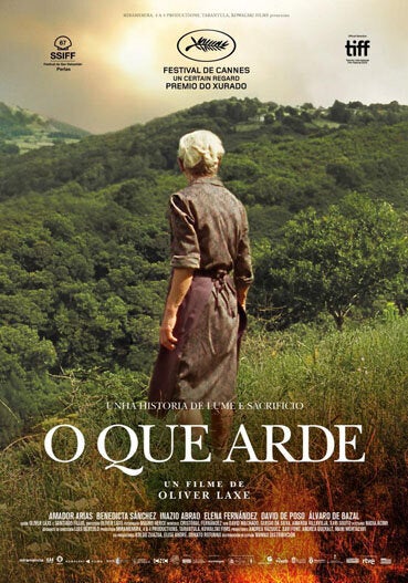 Cartel película ganadora Goya.