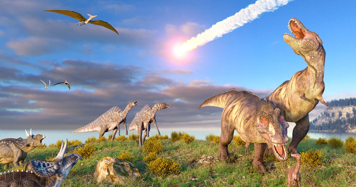L Extinction Des Dinosaures Est Elle Due A Un Asteroide Ou Un Volcan Cette Etude Tranche Le Debat Le Huffpost