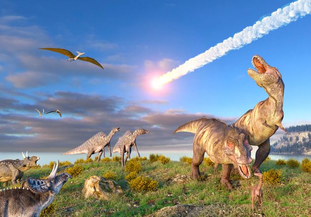 L Extinction Des Dinosaures Est Elle Due A Un Asteroide Ou Un Volcan Cette Etude Tranche Le Debat Le Huffpost