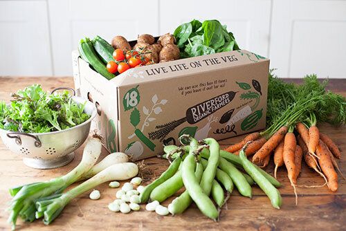 Riverford UK veg box 18