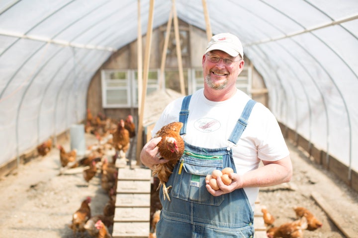 The hens at Feather Brook Farm in Massachusetts have continuous access to the outdoors during their laying cycle.