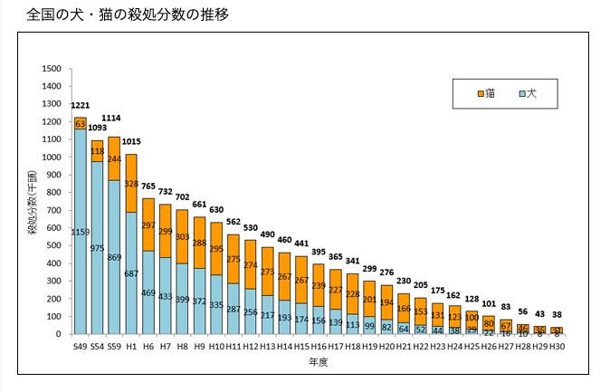 全国の犬・猫の殺処分数の推移。殺処分は年々減っているが、平成30年のデータでは、犬と猫合わせて3万8千匹以上が引き取り手が見つからず殺処分されている