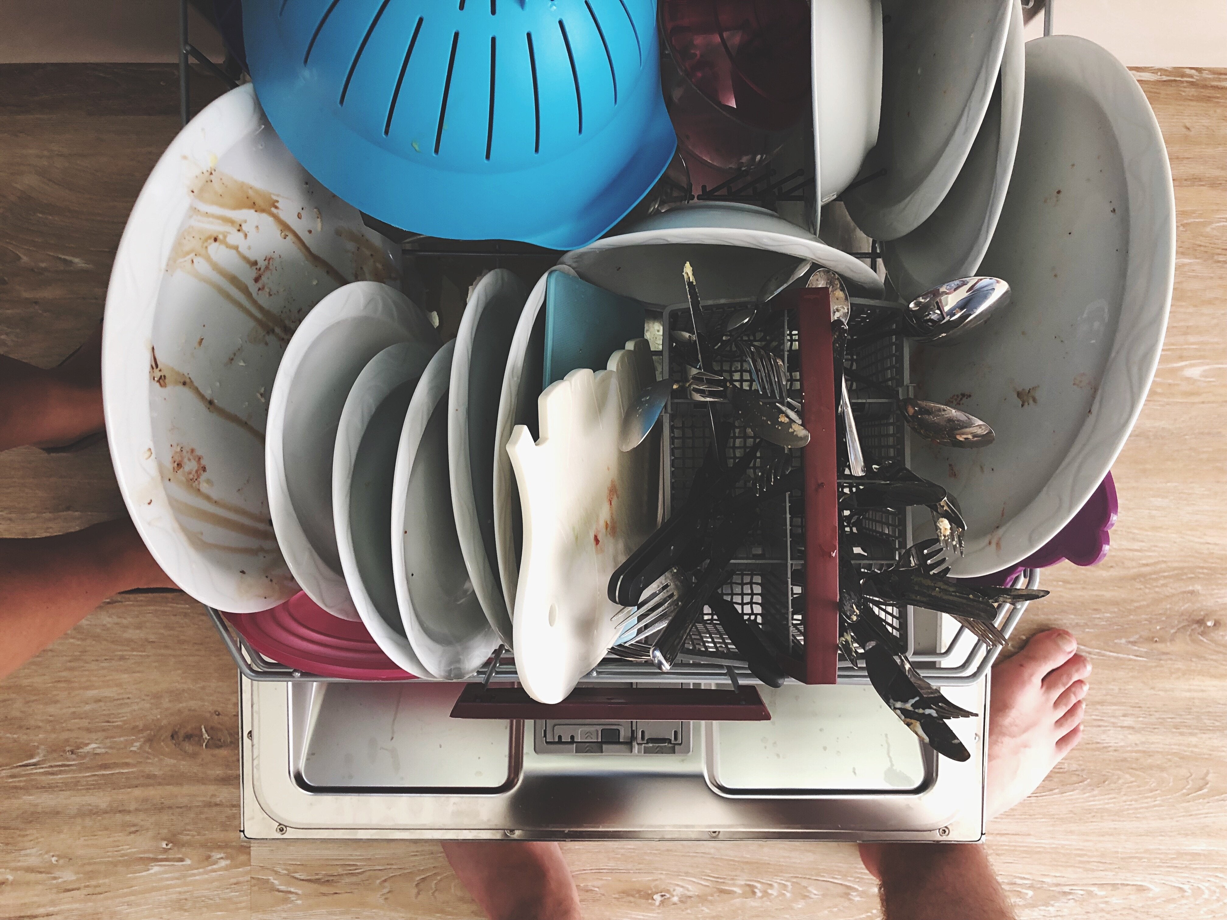 dog bowl in dishwasher with other dishes