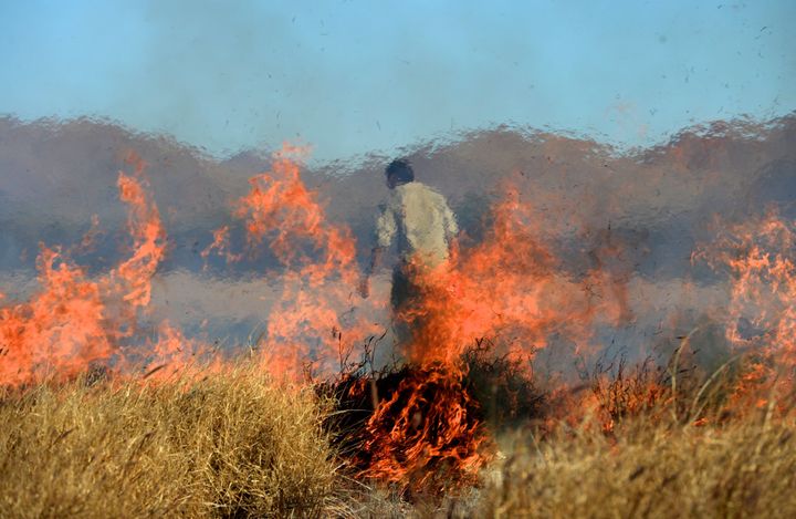 Aboriginal rangers conduct a controlled burn to protect the black-footed rock-wallaby at Ernabella in the Anangu Pitjantjatjara Yankunytjatjara (APY) Lands in South Australia on August 12, 2014.