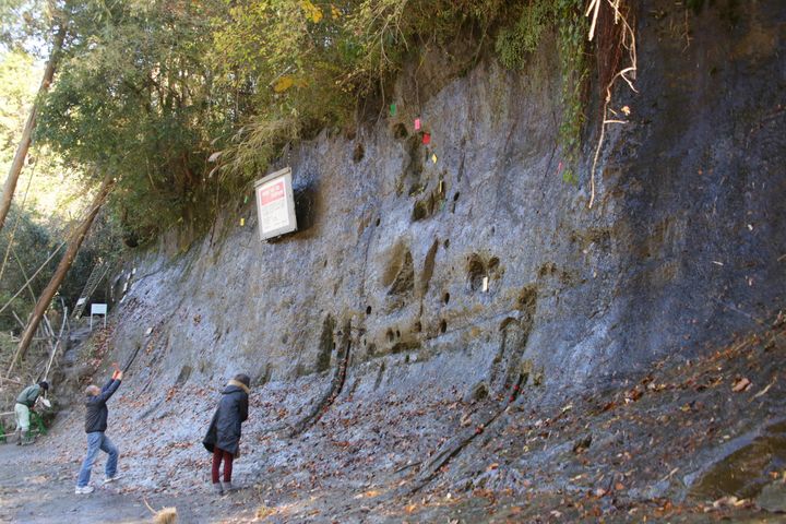 国際地質科学連合の専門部会が77万年前の地質時代の「国際標準模式地」選んだ、千葉県市原市の地層。77万年前～12万6000年前の地質時代が「チバニアン」と命名された