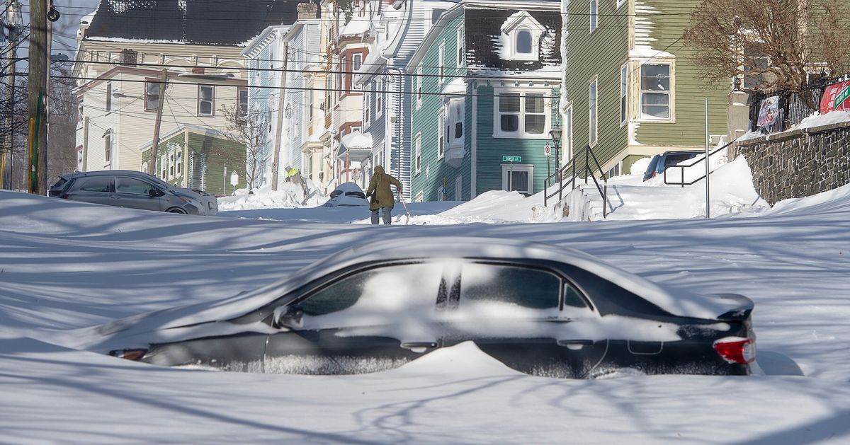 These Are The Funniest Newfoundland Snowstorm Tweets