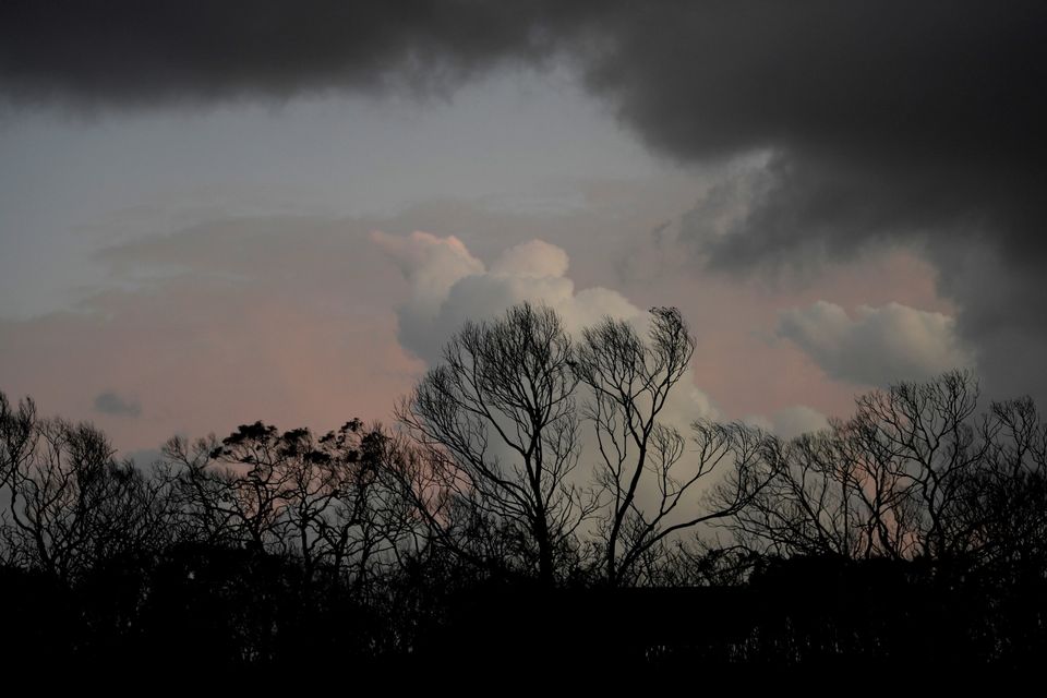 Fires continue on the devastated Kangaroo Island. 