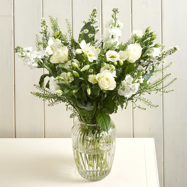 Scented Moonlight, Serenata Flowers