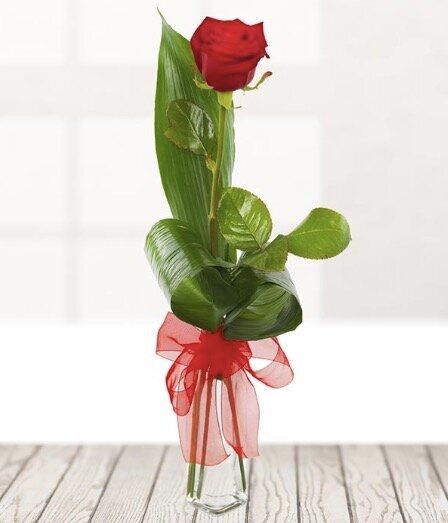 Single Red Rose, eflorist