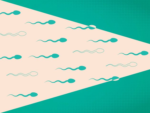 Would You Want Your Sperm Donated After Your Death? These Scientists Think You Should