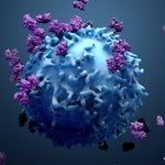 Virus coronavirus chine