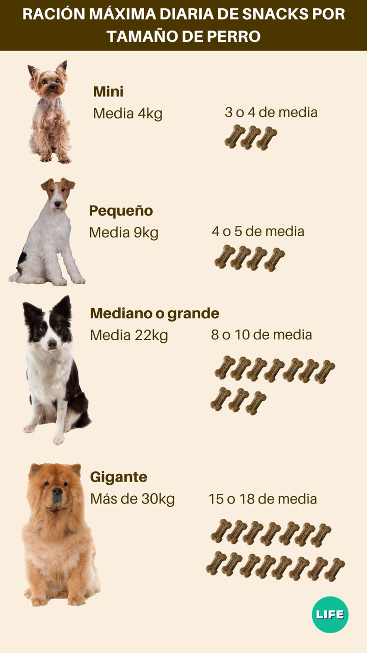 Dosis de snacks diarias por tamaño de perro.