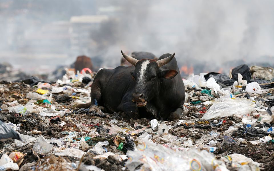 Εδώ και δύο χρόνια η Κένυα εφαρμόζει την αυστηρότερη απαγόρευση της πλαστικής σακούλας. Εχει
