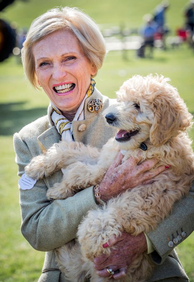 A picture of Mary and a dog for no other reason than the dog is cute