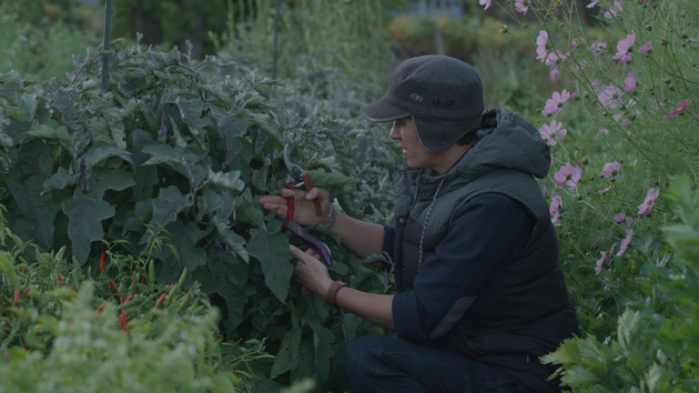 How This Farmer Uses Produce To Connect To Family Huffpost