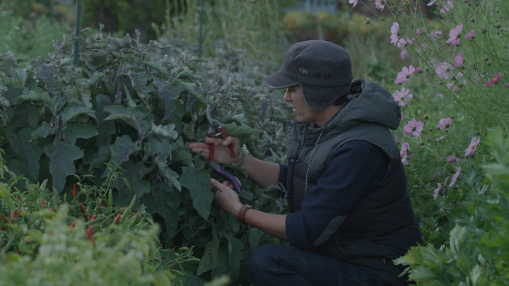 Leslie Wiser wanted to grow the vegetables that her grandparents had limited access to when they immigrated to America.