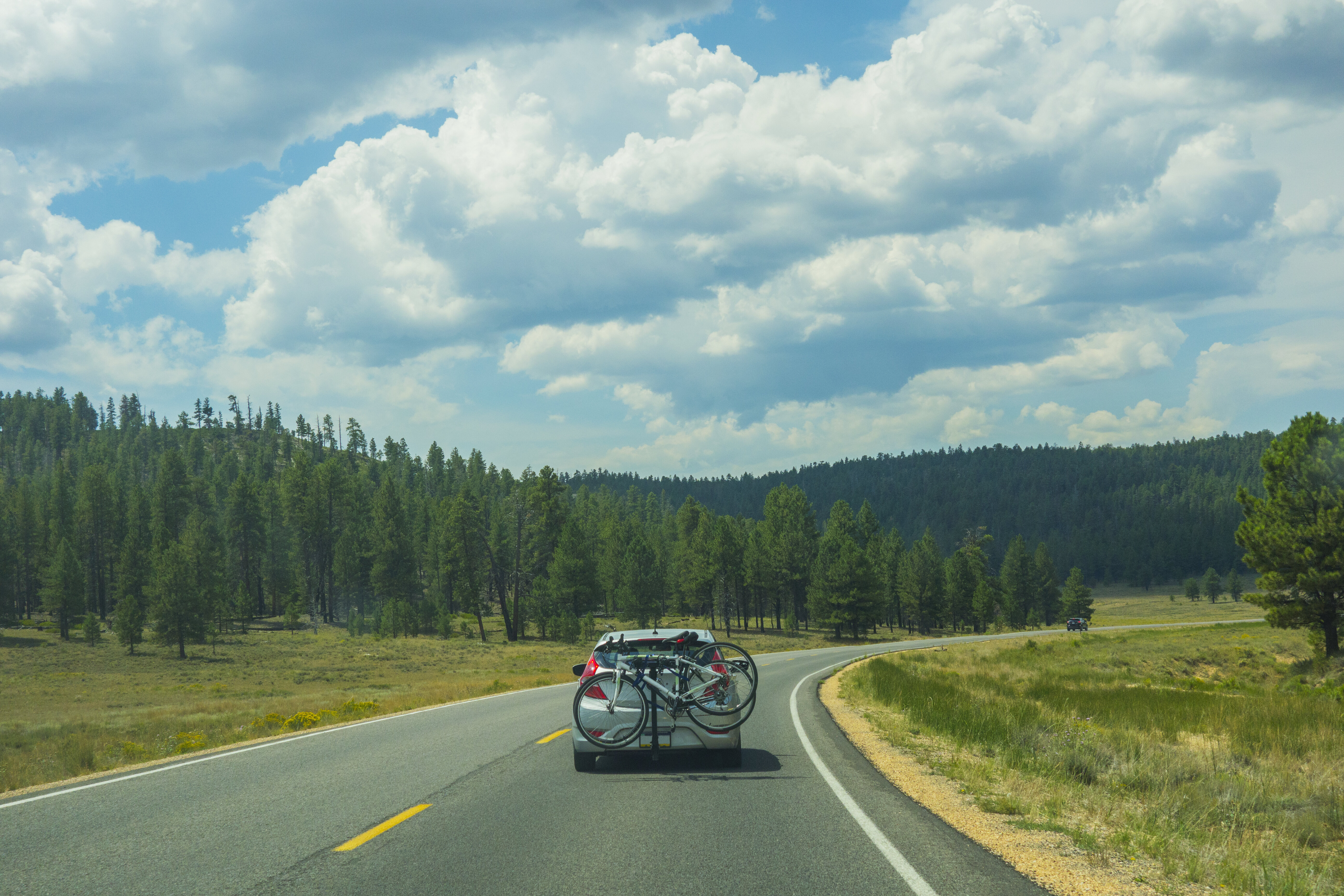 20 Expert-Backed Tips For An Epic Road Trip
