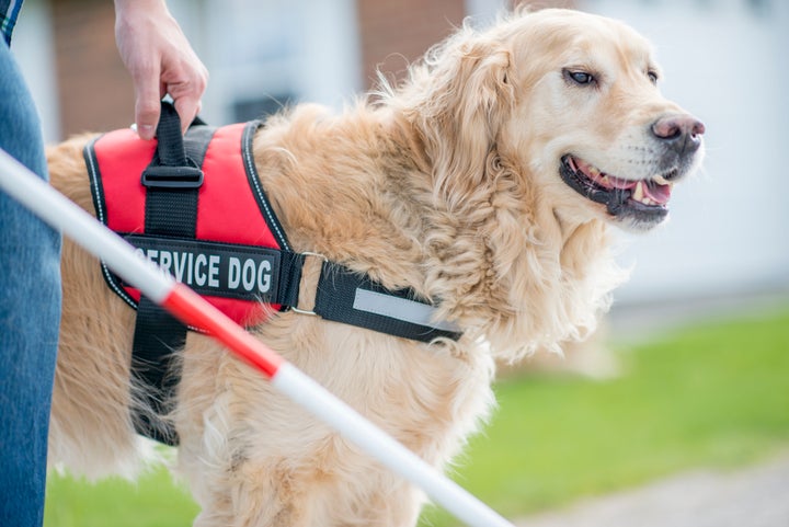 Service animals would be restricted to dogs that are&nbsp;specially trained to do work or perform tasks for the benefit of a person with a disability.