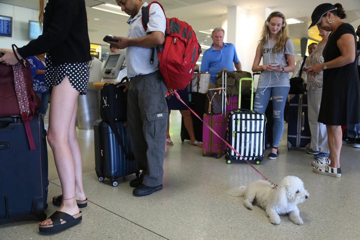 Emotional Support Animals Could Soon Be Banned From Planes