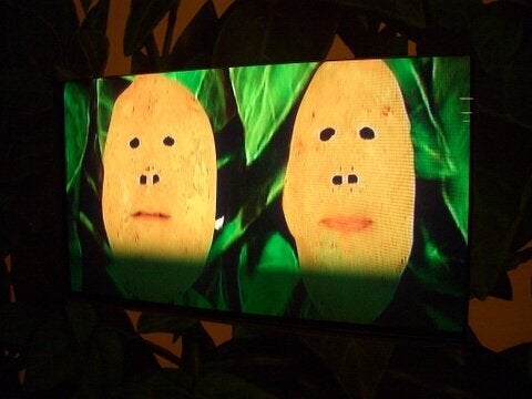 The Talking Tubers at Potato World.